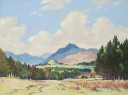 Original oil painting on board SUMMER IN THE HIGHLANDS by William Douglas Macleod. The draft artwork