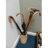 A collection of walking sticks and canes and two cane handled umbrellas