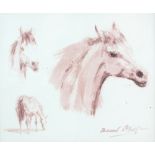 Raoul Millais (1901-1999) Horse study, signed lower right, watercolour, 15.