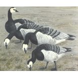 John Govett Four barnacle geese, signed lower right and dated '92, oil on canvas board,
