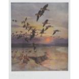 After Peter Scott (1909-1989) Geese in flight, signed in pencil lower left,