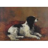 British school, late 19th century Spaniel, oil on canvas,