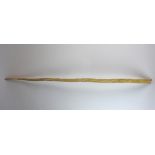 A Narwhal (Monodon monoceros) tusk late 19th century,