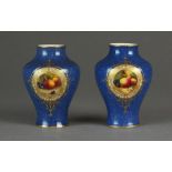 A small pair of Royal Worcester powder blue vases painted with panels of fruit, shape 2491,