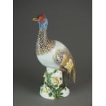 A Meissen style model of a guinea fowl, probably Paris, 19th century,