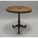 A Victorian walnut and crossbanded oval pedestal occasional table on slender tapering column and