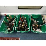 A collection of various bottles of wine and cava,