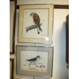 A large collection of watercolours pastels and prints of landscape and ornithological subjects,