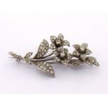 A diamond spray brooch, the three flower design set overall with small brilliants and single cuts,