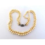 A two strand matinee length cultured pearl necklace, composed of graduated 9.4 x 6.2mm, to an 18