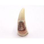 A modern marine ivory tusk scrimshaw very finely engraved with a three masted tall ship fully rigged