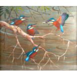 RALSTON GUDGEON (1910-1984), FRAMED GOUACHE, signed, Feeding Kingfishers. 1 ft. 7ins x 1 ft. 11ins.