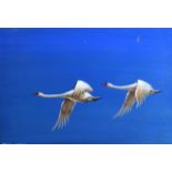 ROBERT AITCHEN (19TH/10TH CENTURY), UNFRAMED GOUACHE, signed, birds in flight. 1 ft. 1ins x 1 ft.