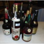 FOURTEEN BOTTLES OF COGNAC. (14)