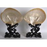 A FINE PAIR OF MID 19TH CENTURY CHINESE CANTON SHELLS upon fitted rootwood stands, extensively