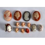 A GOOD COLLECTION OF ANTIQUE CAMEOS in various sizes and materials. (qty)