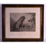 A FRAMED VICTORIAN PRINT, "What's that?", a dog viewing a butterfly. 10ins x 1 ft 2ins.