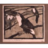 ENGLISH SCHOOL (20th Century), Framed engraving of a Toucan, toegther with another smaller.