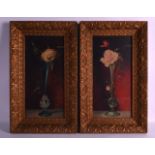 A PAIR OF ANTIQUE STILL LIFE PRINTS within acanthus capped gilt frames. 8Ins x 1ft 3ins.