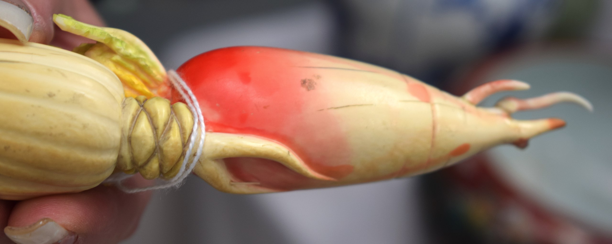 A FINE LARGE EARLY 20TH CENTURY CHINESE POLYCHROMED IVORY VEGETABLE of naturalistic form, overlaid - Image 7 of 9