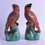 A PAIR OF CHINESE EXPORT QING DYNASTY FIGURES OF HAWKS modelled upon green painted naturalistic