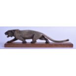 AN EARLY 20TH CENTURY CHINESE CARVED HORN FIGURE OF A TIGER upon a wooden base. 25 cm long.