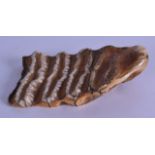 AN EARLY MAMMOTH TOOTH PAPERWEIGHT. 11 cm wide.