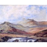 DENNIS HARPER (British), Framed Oil on Canvas, signed, Contemporary landscape of Lake District. 39