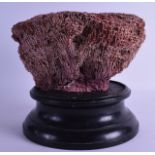 A LARGE EARLY 20TH CENTURY PALEISH RED CORAL SPECIMAN upon an ebonised base. Coral 28 cm x 15 cm.