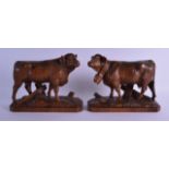 A GOOD PAIR OF 19TH CENTURY BAVARIAN BLACK FOREST BULLS modelled upon a rectangular base. 23 cm x 19