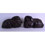 A PAIR OF 19TH CENTURY CHINESE CARVED BAMBOO BUDDHISTIC LIONS modelled recumbent with incised