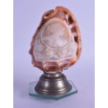 A 19TH CENTURY CAMEO CUT CONCH SHELL converted to a lamp. Shell. 15 cm x 11 cm.