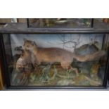 A VERY LARGE VICTORIAN TAXIDERMY GROUP depicting a fox and game bird within a naturalistic