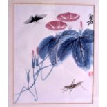A MID 20TH CENTURY CHINESE FRAMED WATERCOLOUR depicting a locust amongst foliage. 24 cm x 30 cm.