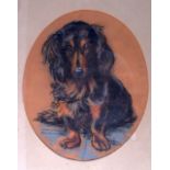 MARIA PANET (French), Framed Pastel, signed and dated 1960, portrait of a spaniel, "Clonyard