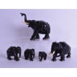 A SET OF FIVE EARLY 20TH CENTURY AFRICAN CARVED EBONY ELEPHANTS with ivory tusks. Largest 17.5 cm