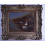 J A ANDERSON, Framed Oil on Canvas, signed, ducks in a river. 34 cm x 44 cm.