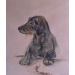 SUSAN CARTER (British), Framed Pair Pastel, signed, study of a dog, "Jupiter", together with another