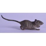 A LATE 19TH CENTURY AUSTRIAN COLD PAINTED BRONZE FIGURE OF A MOUSE by Bergmann. 10.5 cm long.