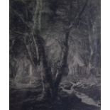 A FRAMED ABSTRACT PRINT, together with a 19th century Etching, depicting a tree. 29 cm x 23 cm.