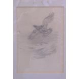 ARCHIBALD THORBURN (1860-1935), Framed Pencil Sketch, depicting a bird of prey. Each 21 cm x 15 cm.