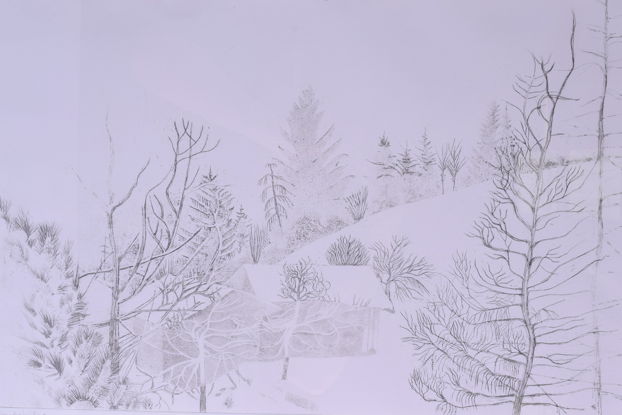 A FRAMED LIMITED EDITION PRINT, indistinctly signed in pencil, 6/25, trees in a winter landscape. 40