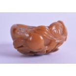 AN UNUSUAL CHINESE CARVED ORANGE AGATE BRUSH WASHER of naturalistic form, overlaid with fruiting