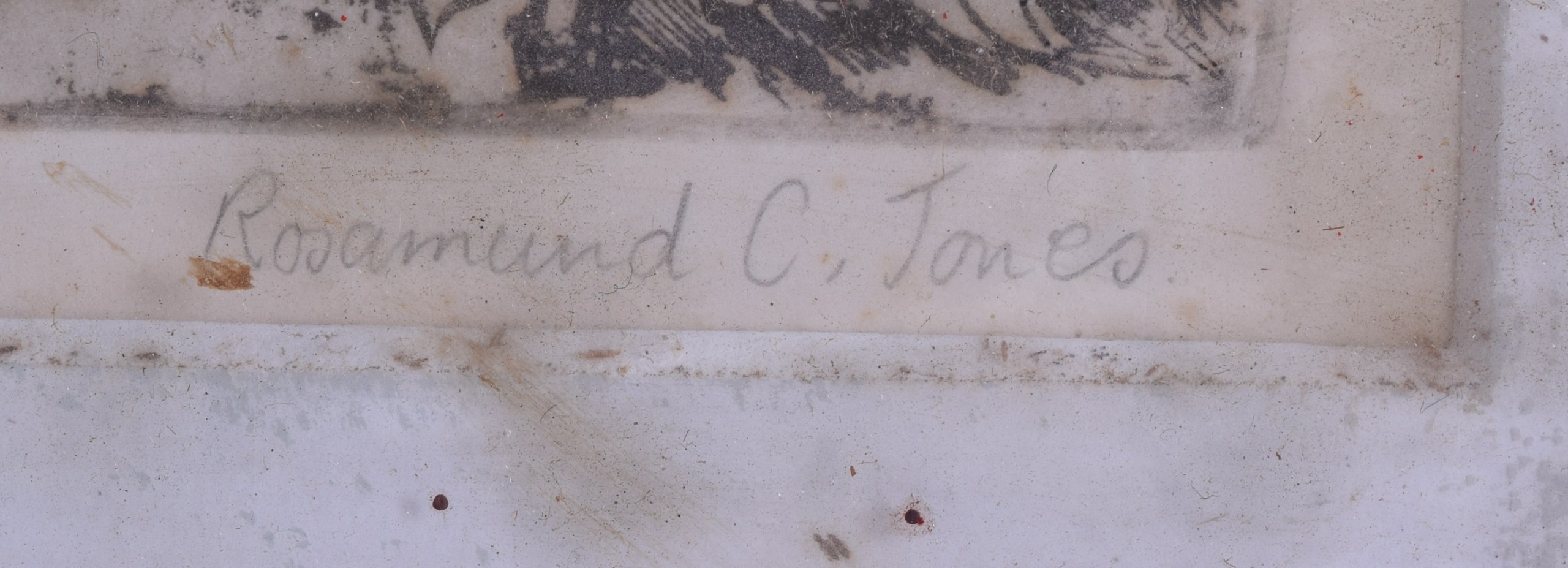 ROSMUND C JONES (British), Framed Engraving, "2nd image", "Bantams in Field". 24 cm x 33 cm. - Bild 2 aus 2