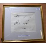 ARCHIBALD THORBURN (1860-1935), Framed Pencil Sketch, depicting birds . 16.5 cm x 20.5 cm.