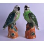 A PAIR OF LATE 19TH CENTURY CONTINENTAL POTTERY FIGURES OF PARROTS modelled upon brown glazed