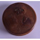 A GOOD 19TH CENTURY CARVED WOOD SNUFF BOX AND COVER depicting skulls and views of the cranium. 8.5