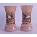 A PAIR OF VICTORIAN/EDWARDIAN OPALINE GLASS VASES painted with birds amongst foliage. 20.5 cm high.