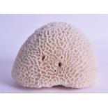 AN UNUSUAL EARLY 20TH CENTURY 'BRAIN' CORAL of naturalistic form. 14 cm x 9.5 cm.