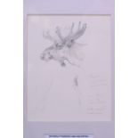 ARCHIBALD THORBURN (1860-1935), Framed Pencil Sketch, depicting a reindeer . 21 cm x 16 cm.